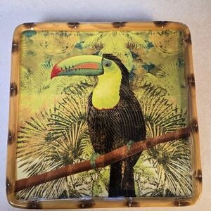 Set Of 4 - Cracker Barrel Vibrant Toucan/Cockatoo Square Plates